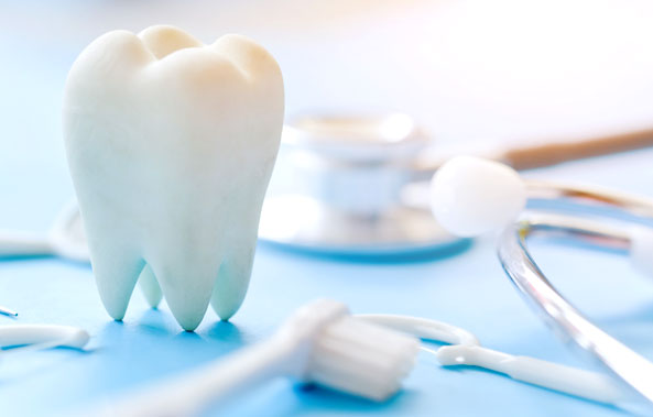 Dentist Howard - Dental Exam Freedom, Veneers & Invisalign De Pere